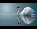 Download Video From YouTube