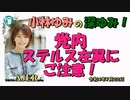 「党内ステルス左翼にご注意」(前半) 小林ゆみ  AJER2022.7.22(1)