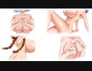 第百八十九局　勝っても負けてもモザイクのかかった【えっち】なイラストを一局麻雀で薄めていく！