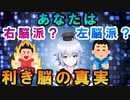 [ 脳科学 ]2つ脳を持つ人!? 利き脳の真実!? 右脳 派・左脳 派論争についに決着！！分離脳について[ Rue ]@VBLab バーチャルサイエンティストの卵