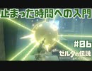 #06 ゼルダの伝説 ブレス オブ ザ ワイルド