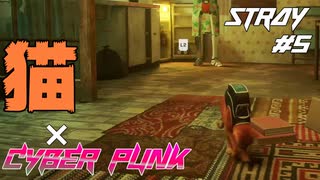 【猫×CYBER PUNK】SNSで話題の猫のゲーム STRAY Part5【ゲーム実況】