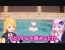 【Placid Plastic Duck Simulator】ゆかりとマキがアヒルを眺めてみた【特別シリーズ】