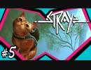 Stray #5