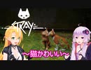 【STRAY】ゆかりとマキが猫ちゃんと大冒険part１【特別シリーズ】