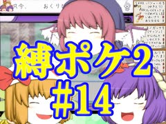 (ポケモンど鬼畜縛り)縛り好きのための、ポケモンルビーゆっくり実況解説プレイ2 part14