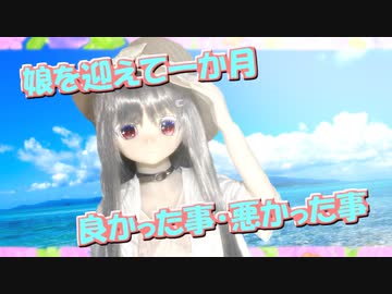 【ラブドール解説】娘を迎えて一ヵ月、良かった事・悪かった事【ゆっくり解説・ゆっくり茶番劇】