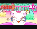はい。神ゲー【ハム太郎3】＃9