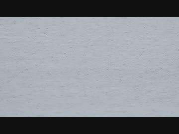 大雨の様子の映像素材