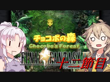 [FF9]ついつむナイン【十二節目】