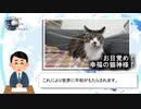 【ニュース】御猫様お目覚めの瞬間【猫動画】