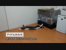 【ニュース】変態現る【猫動画】