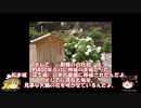 【ゆっくり解説】国宝・松本城（長野県）小笠原白牡丹