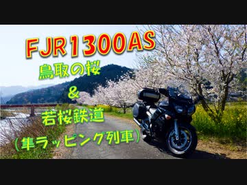FJR1300AS 鳥取の桜 ＆ 若桜鉄道 （隼ラッピング列車）