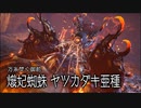 【MHRS】発売日から全モンスターを倒すまで【実況】part13