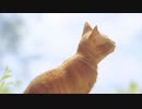 【Stray】サイバーパンクおさんぽ猫ちゃん part12(最終回)【実況プレイ】