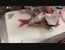 【みーたん】鯛とめばるを捌きたい！。2022年7月20日