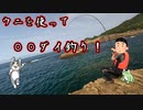 ウニを使って〇〇ダイ釣り！