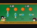 【ゆっくり解説】なぜ海は満ち引きがあるのか　～一日に2回ずつ干潮と満潮がある理由～