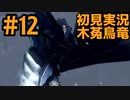 【初見実況】#１２ 新天地　銃槍担ぐ　木菟竜【Monster Hunter RISE SUNBREAK】