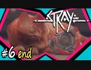 Stray #6END