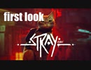 【Stray】　First　LooK　/Playmovie