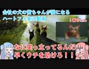 【ボイスロイド実況】会社の犬の茜ちゃんが猫になるハートフル実況動画#1【Stray】