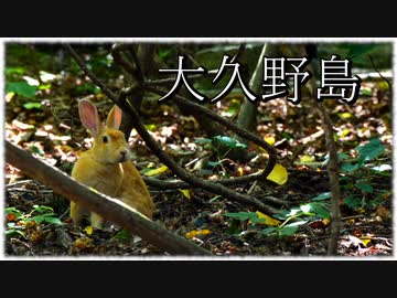【バイク車載動画】皆さんご存じウサギの島でございます。【ソロツーリング後編】
