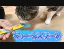 ちゅーるスプーン