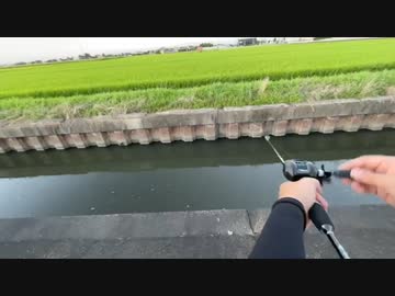 #七原くん 20220723「4年目の雷魚」米無速報版前編(1枠目前編,弥富市,夕まずめ,蟹江の釣具店ポパイへ,夜釣り)