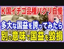 K国によるイチゴ品種パクリ自慢！多大な国益に繋がったと誇ってみたら別の意味で国益を毀損中！