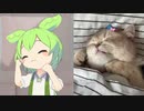朝がよわよわのずんだもん
