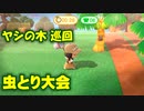 【まったり実況】あつまれどうぶつの森【関西のおばちゃん】#293