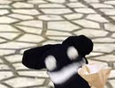 ポップコーン