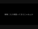 【FALL GUYS】＃3 孤独なレースのはずなのに・・・【絶叫姉妹】