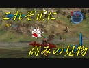 虫とかに侵略されそうなので民間人２人がちょっぴり本気出してみた（地球防衛軍5）其の80