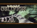実況 ◇ The Elder Scrolls IV: オブリビオン ◇ 第120幕