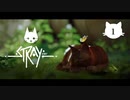 【初見実況】猫好きの猫飼い、猫になる。【Stray】＃01