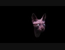 ヤングメモリーズ