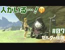 #07 ゼルダの伝説 ブレス オブ ザ ワイルド