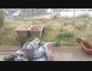 初投稿（再投稿）