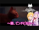 【STRAY】ゆかりとマキが猫ちゃんと大冒険part３【特別シリーズ】