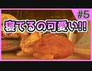 【Stray】俺、猫になるわ【Part 5】