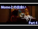 Stray Part 4