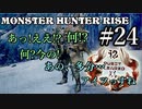 モンハンであそ部【ライズ編】#24　ま、腹パンされりゃいてぇわな