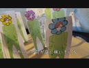 タカハシの花／タカハシ