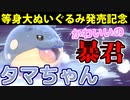 【実況】ポケモン剣盾でたわむれる タマザラシが可愛すぎる件