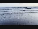 back and forth