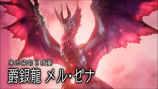 【MHRS】発売日から全モンスターを倒すまで【実況】part14