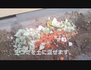 生ゴミ堆肥（肥料）を畑にすき込む。